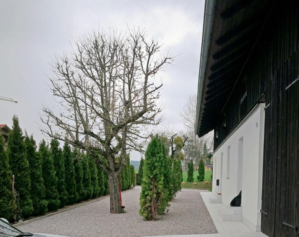 Muensing Naehe Starnberger See, Schoene Ferienwohnung, Gaestewohnung 125Qm Eg Und Og Kontaktfrei Exteriör bild