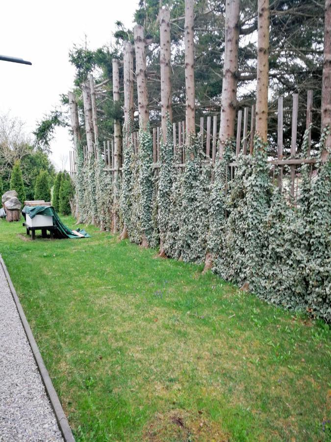 Muensing Naehe Starnberger See, Schoene Ferienwohnung, Gaestewohnung 125Qm Eg Und Og Kontaktfrei Exteriör bild